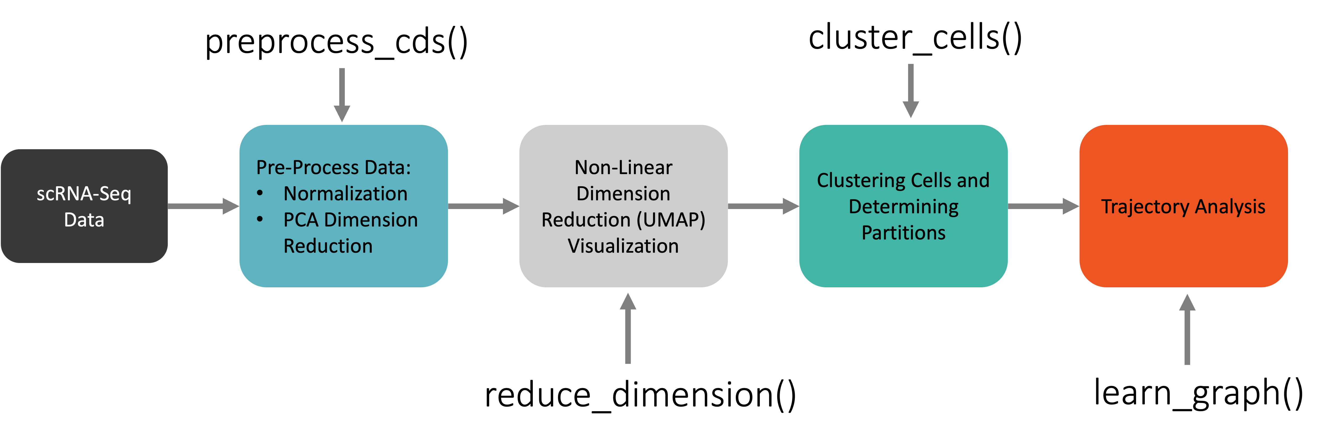 Monocle3 Workflow And Trajectory Analysis - Tufts TTS Research ...