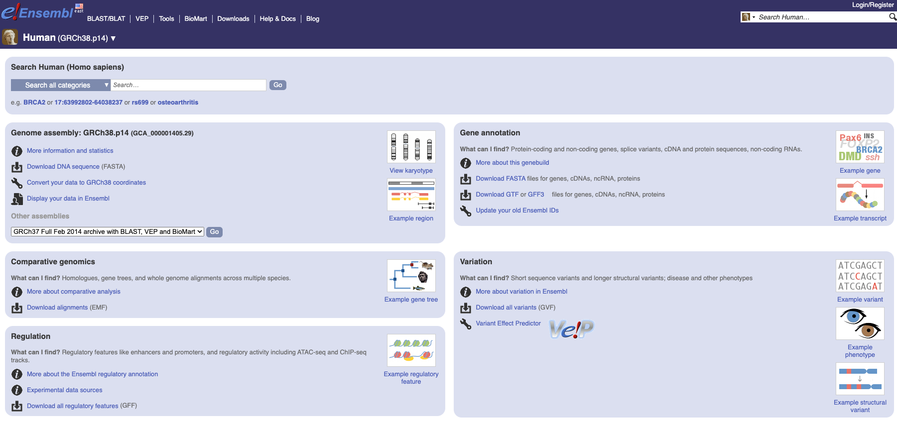 ensembl